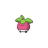 Croquine