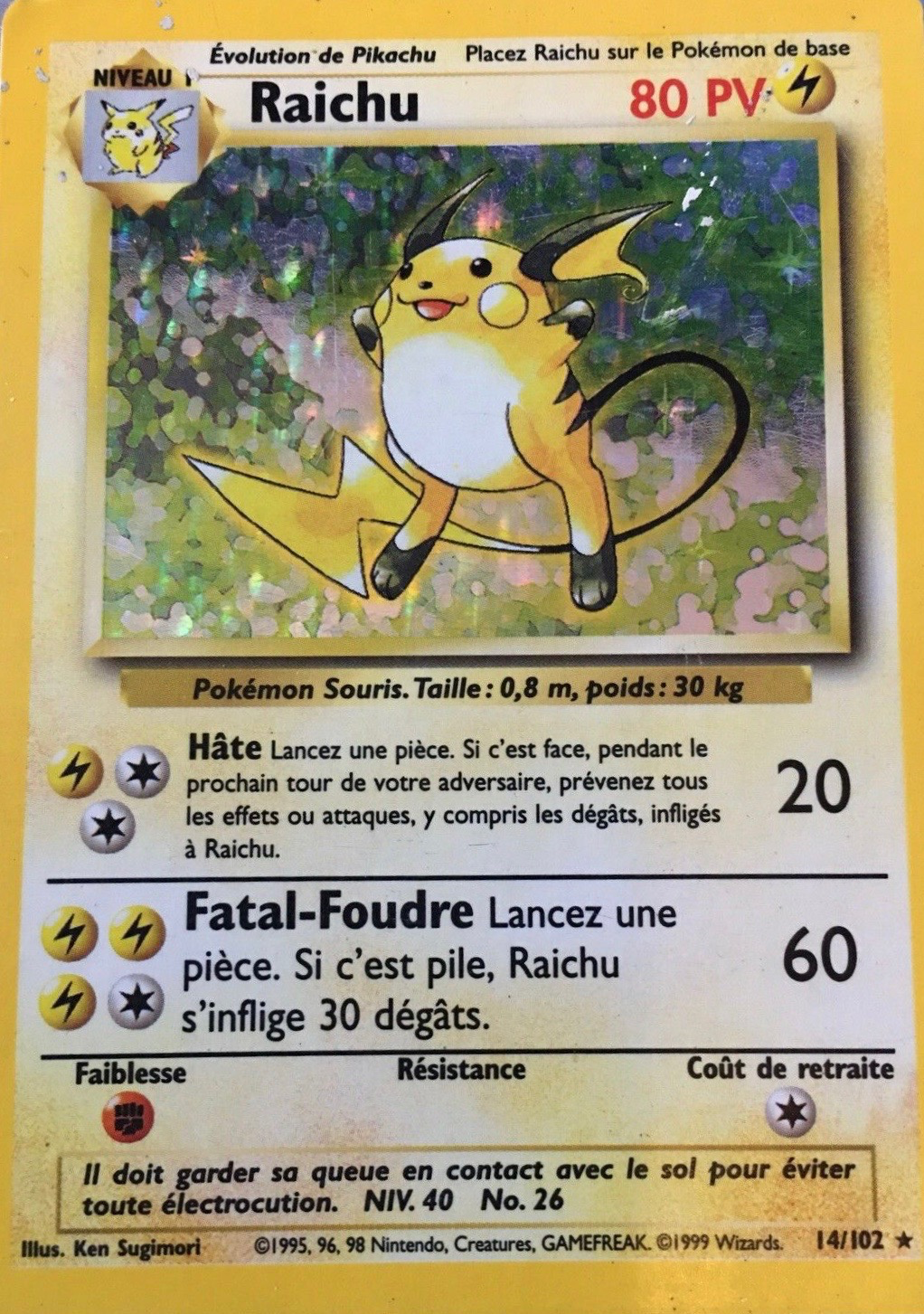 Raichu (14)