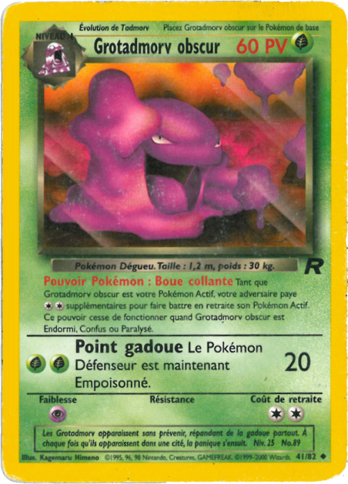 Grotadmorv obscur obscur (41)