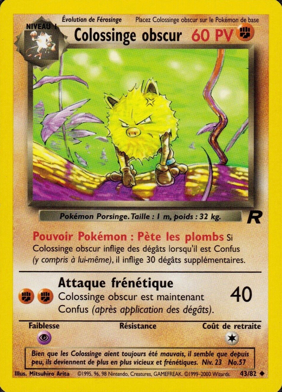 Colossinge obscur obscur (43)