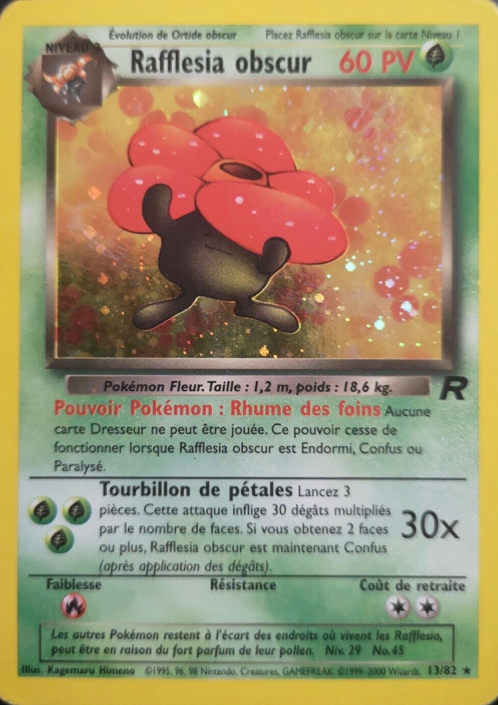 Rafflesia obscur obscur (13)