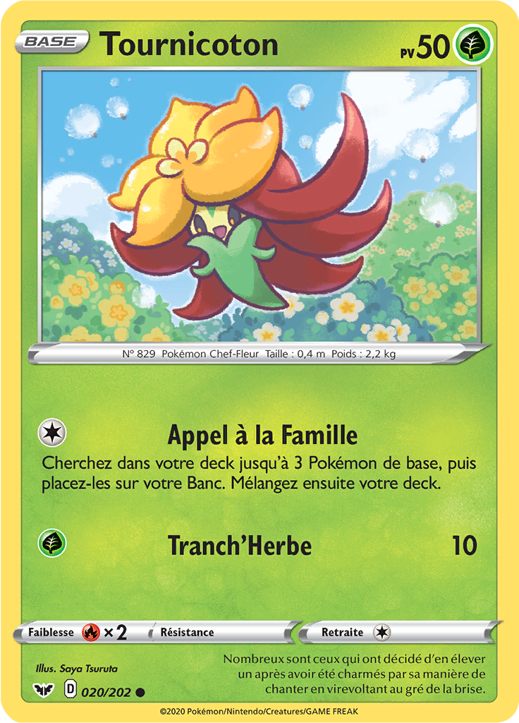 Tournicoton (020)