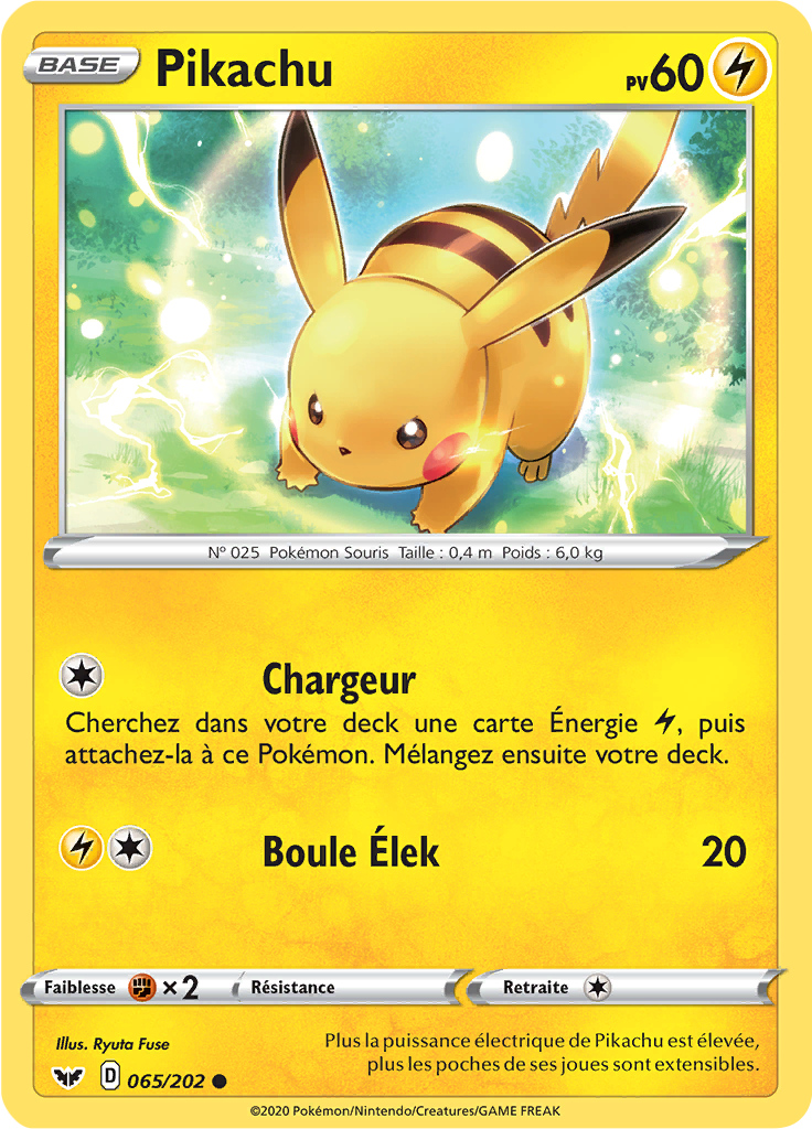 Pikachu (065)