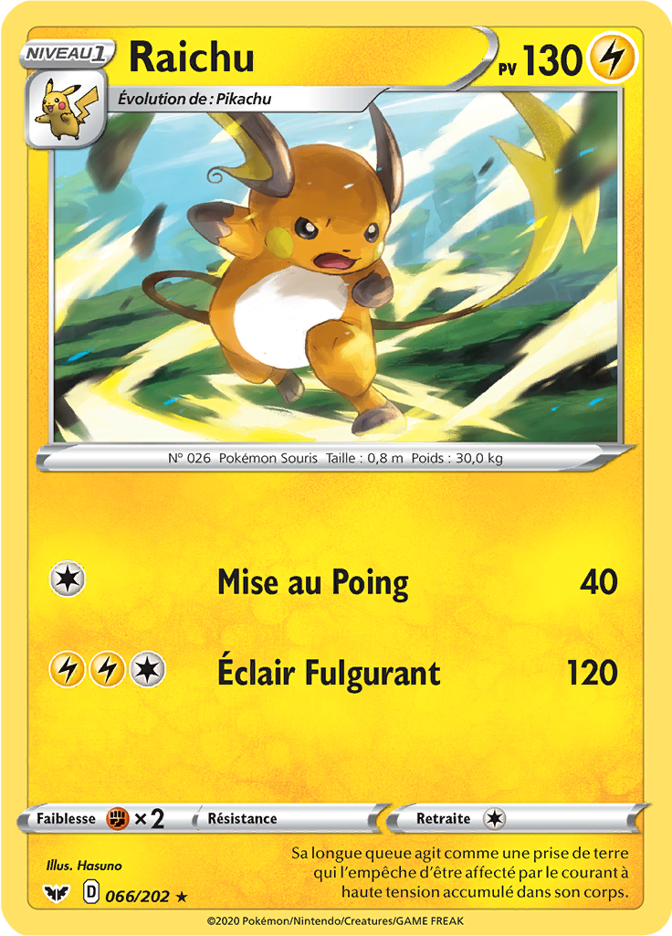 Raichu (066)
