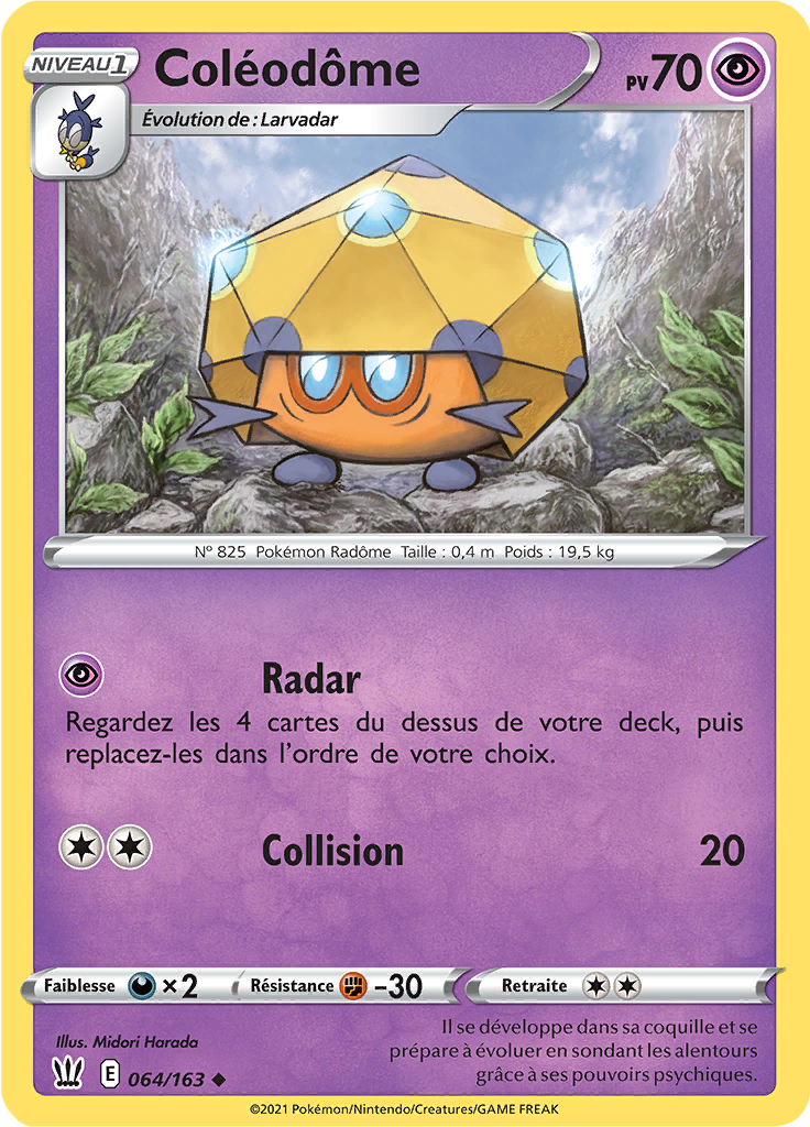 Coléodôme (064)