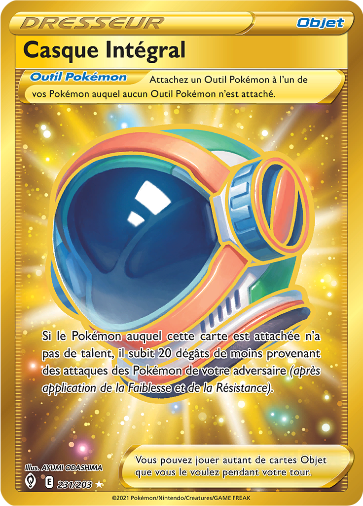 Full Face Guard (231)