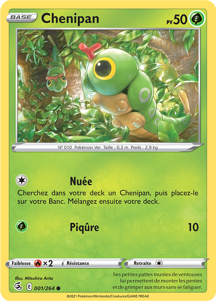 Chenipan (001)
