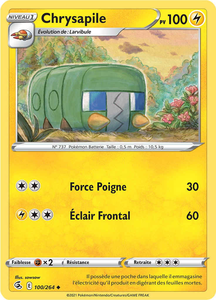 Chrysapile (100)