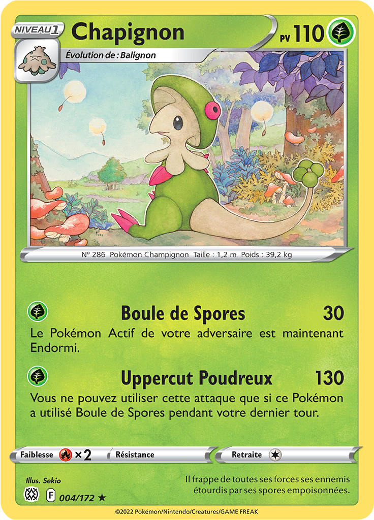 Chapignon (004)