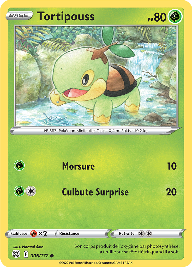 Tortipouss (006)