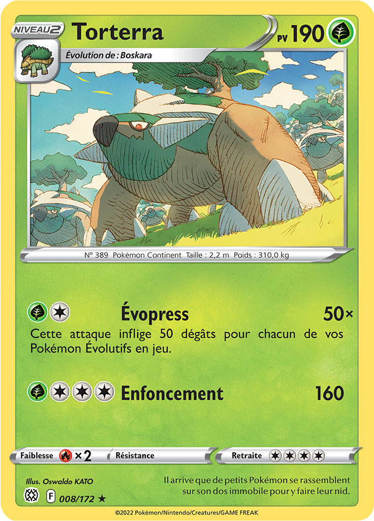 Torterra (008)