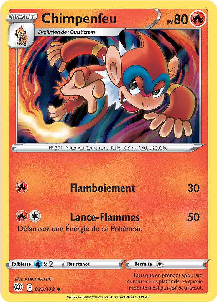 Chimpenfeu (025)