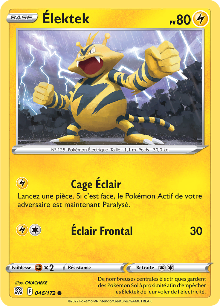 Élektek (046)