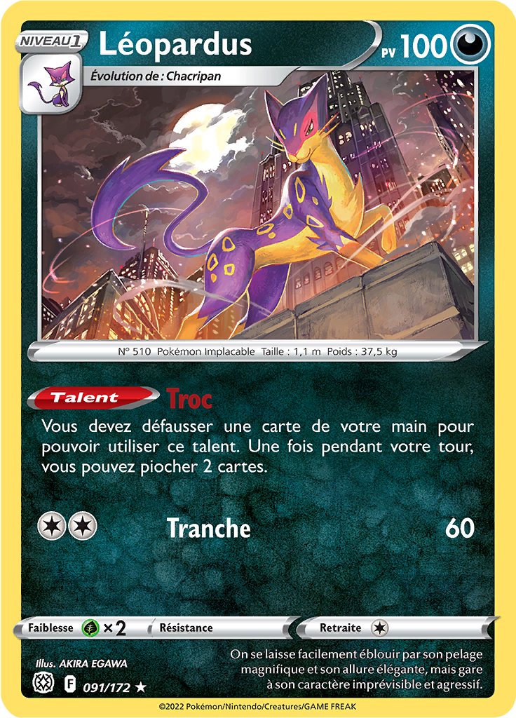 Léopardus (091)