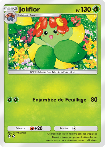 Joliflor (003)