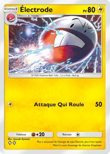 Électrode (055)