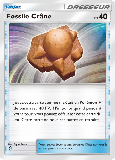 Fossile Crâne (144)